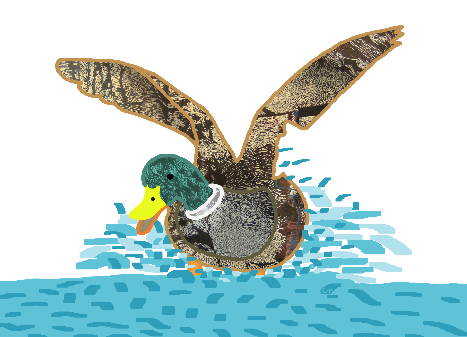 (Bild für) Landende Ente